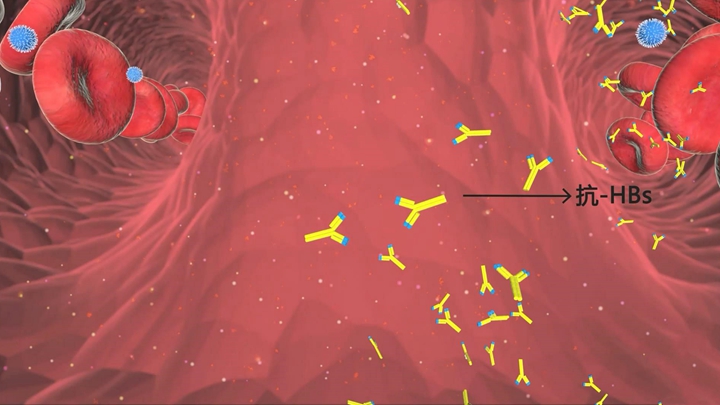 三维动画中的血管显示效果
