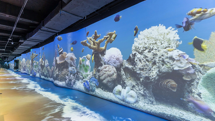 深海主题互动墙面展示一览