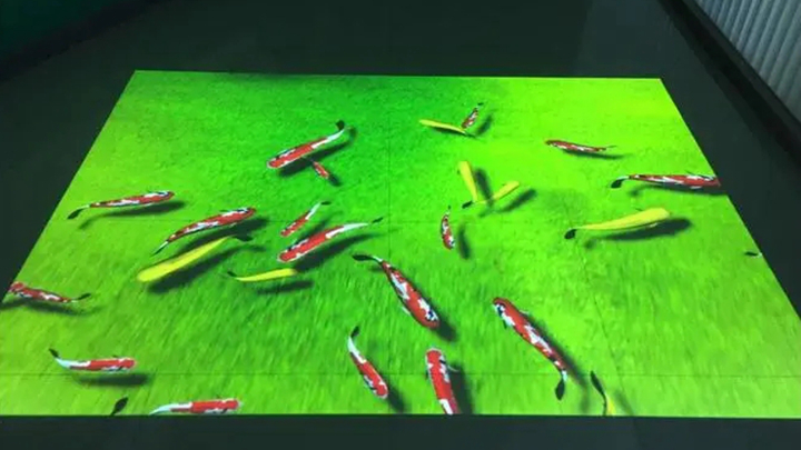 池塘游鱼地面互动投影应用展示效果