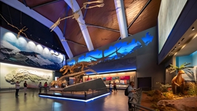 打造数字化海洋博物馆都具备哪些价值？