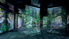 科普展厅中沉浸式投影系统的应用优势